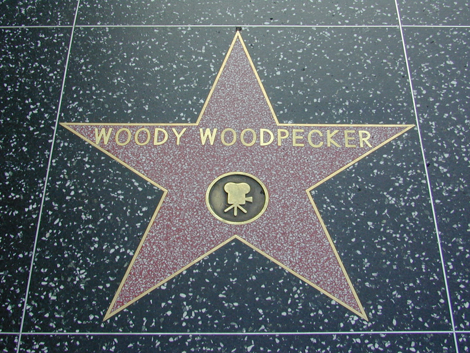 hollywood blvd woody