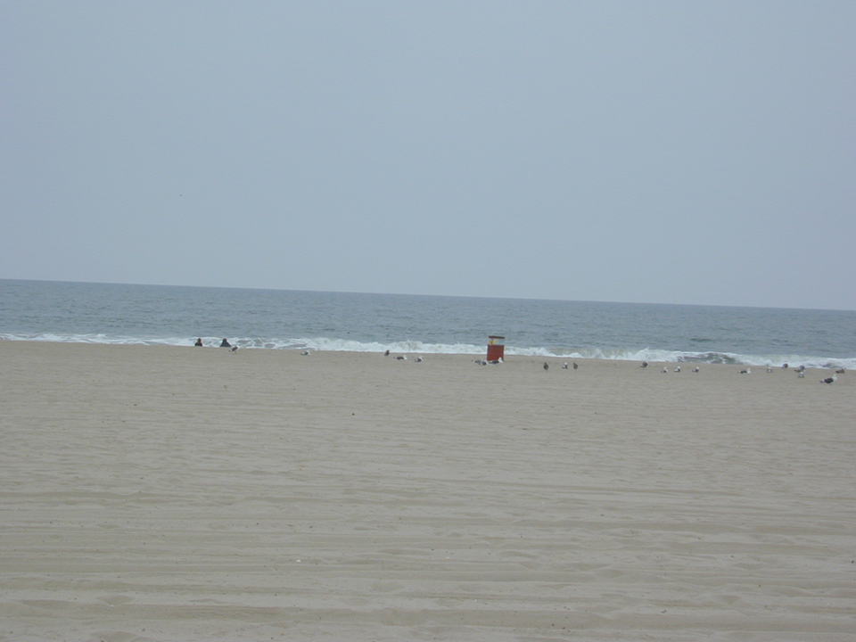 venice beach shoreline