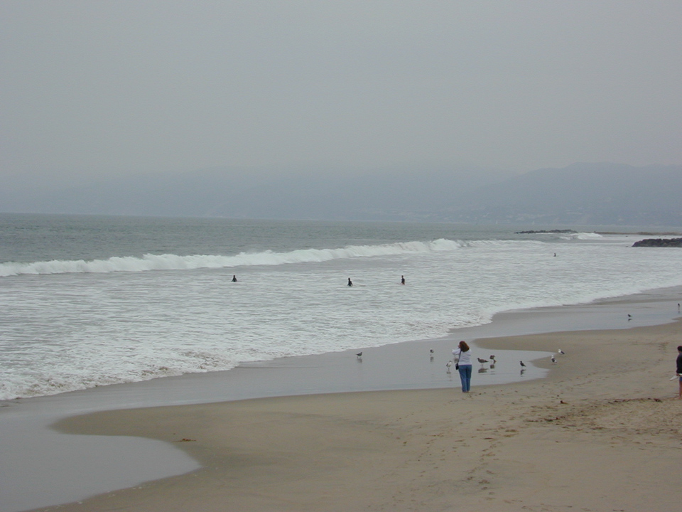 venice beach surf